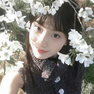 彗星美人